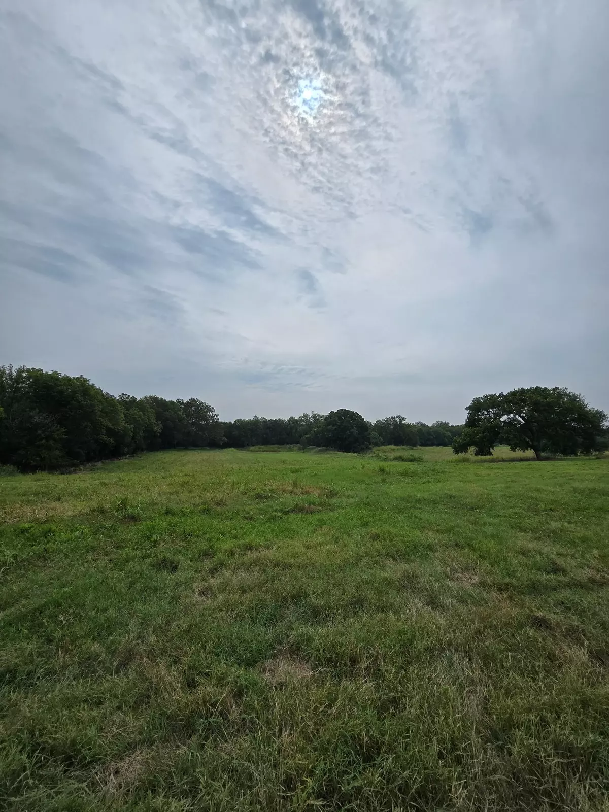 Grenola, KS 67346,00000 S Walnut