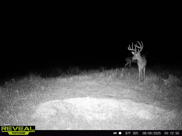 Cherryvale, KS 67335,000 CR 5100