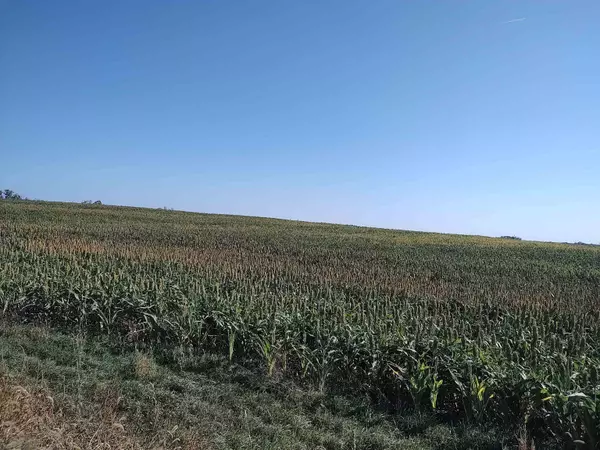 00000 E Wheat Dr., Sylvan Grove, KS 67481
