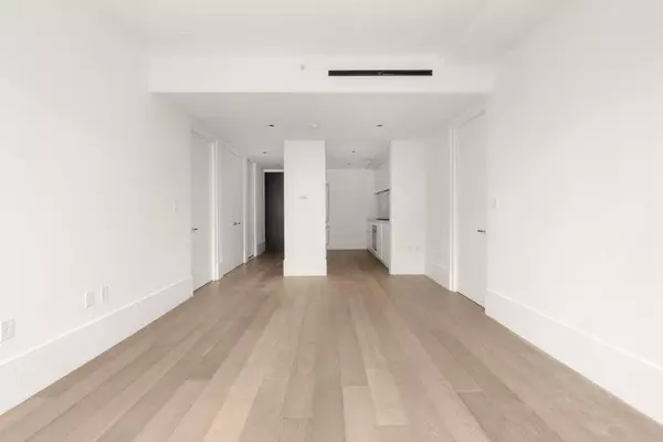 Brooklyn, NY 11249,429 Kent Avenue #505