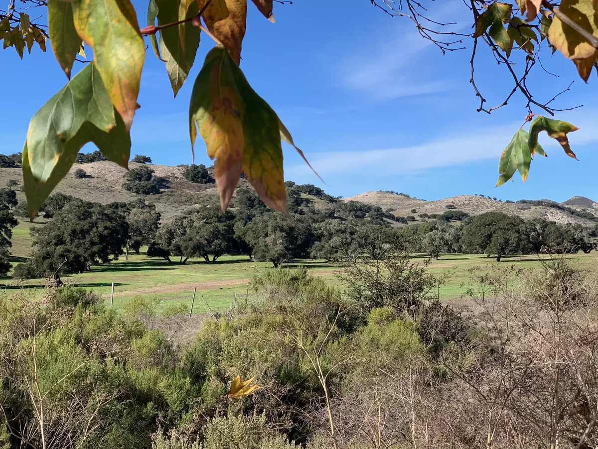 Buellton, CA 93427,860 W Hwy 246