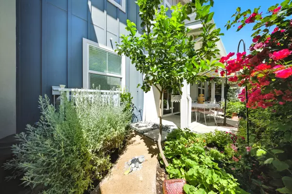 Buellton, CA 93427,553 Oakville DR Drive