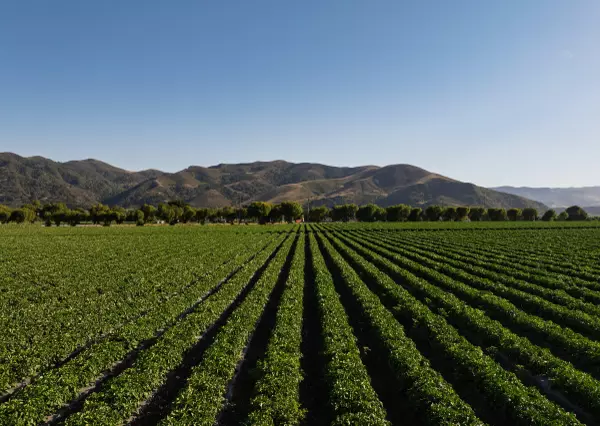 Buellton, CA 93427,1050 W Hwy 246