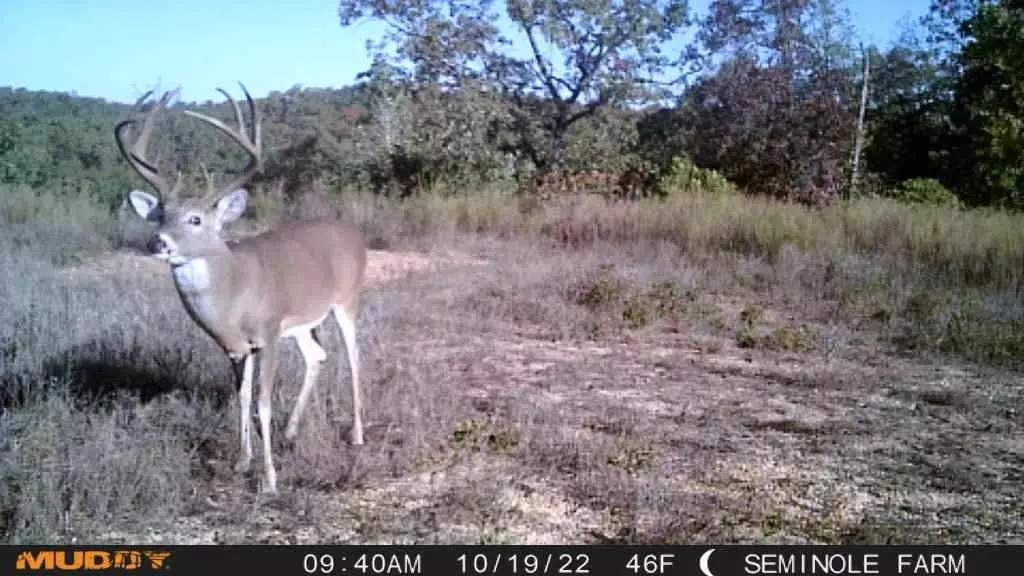 E Highway 9, Seminole, OK 74884