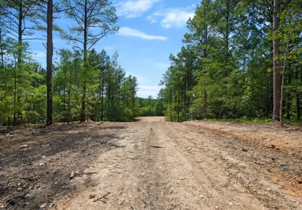 Broken Bow, OK 74728,0 Wild Muscadine TRL