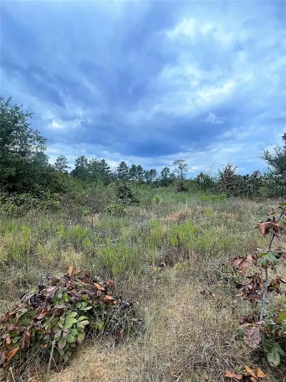 Horned Owl RD #4, Valliant, OK 74764
