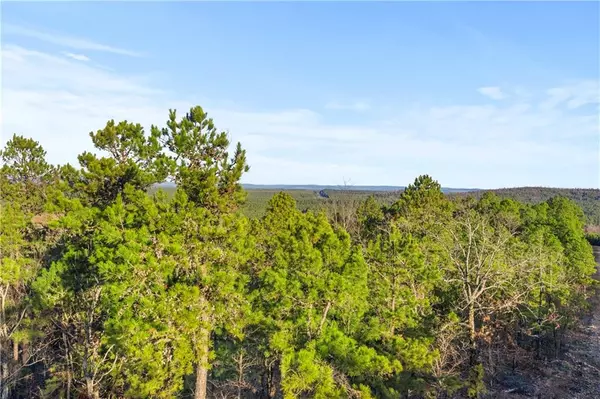 Broken Bow, OK 74728,87 Monterey Oak TRL