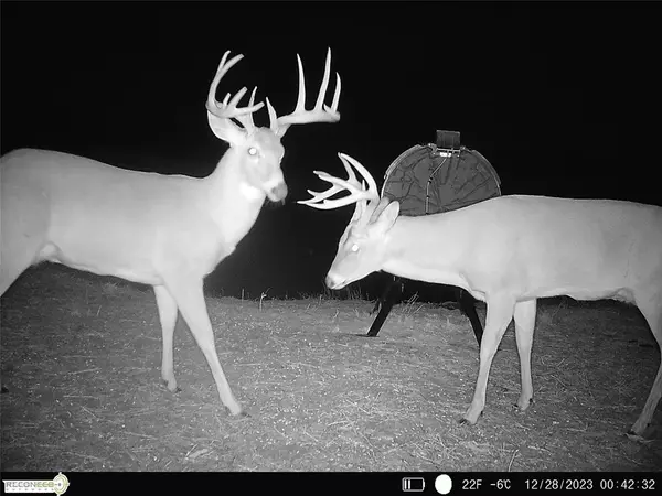 Hooker, OK 73945,Mile 51 RD