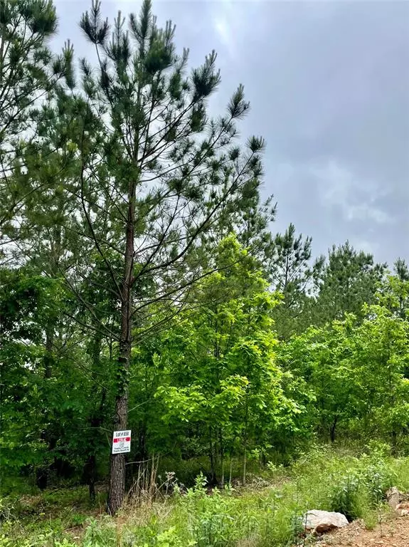 Broken Bow, OK 74728,658 Timber Creek Trails South XI