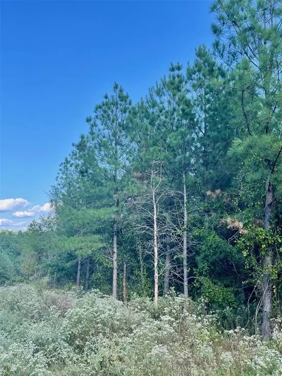 Broken Bow, OK 74728,693 Timber Creek Trails South XI