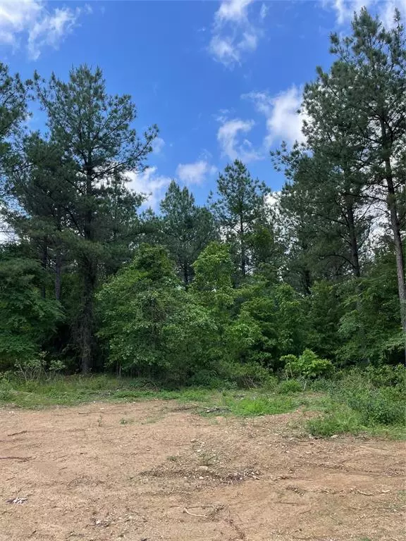 Broken Bow, OK 74728,699 Timber Creek Trails South XI