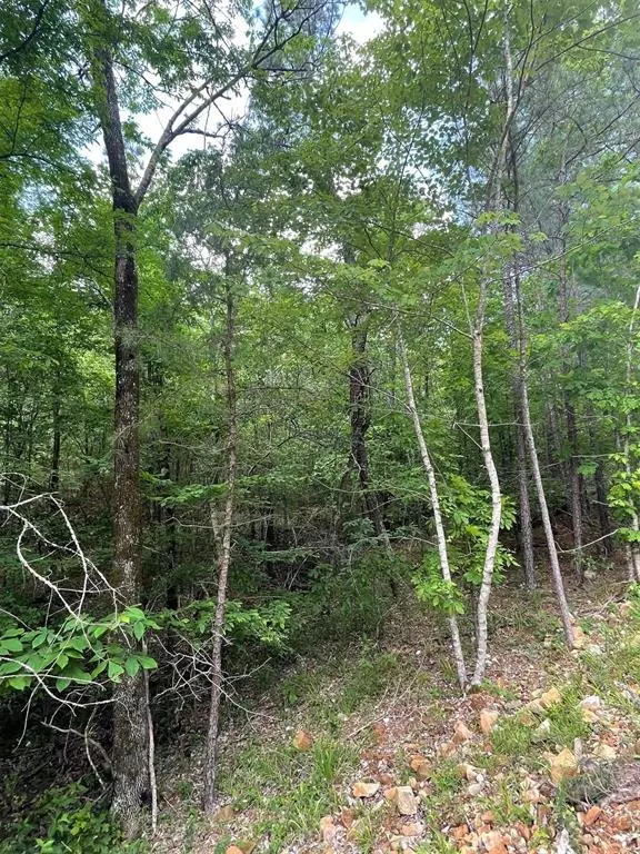 Broken Bow, OK 74728,704 Timber Creek Trails South XI