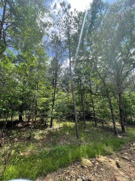 Broken Bow, OK 74728,716 Timber Creek Trails South XI
