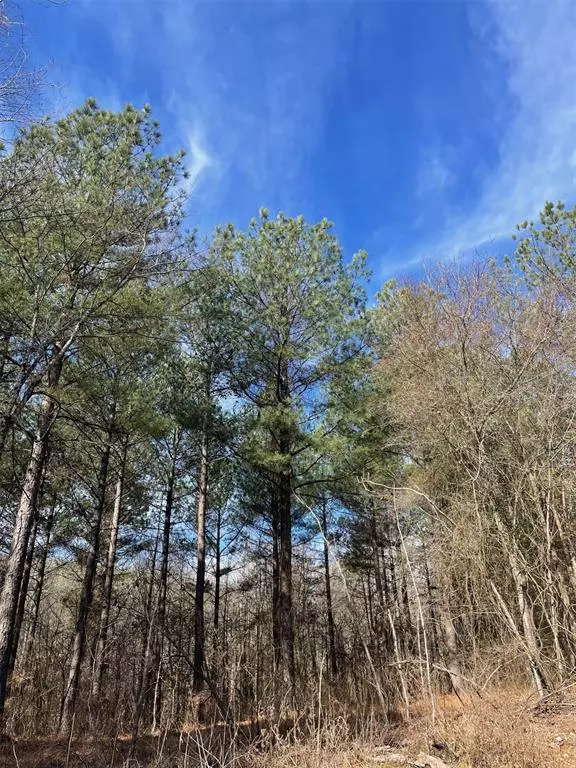 Broken Bow, OK 74728,763 Timber Creek Trails South XI