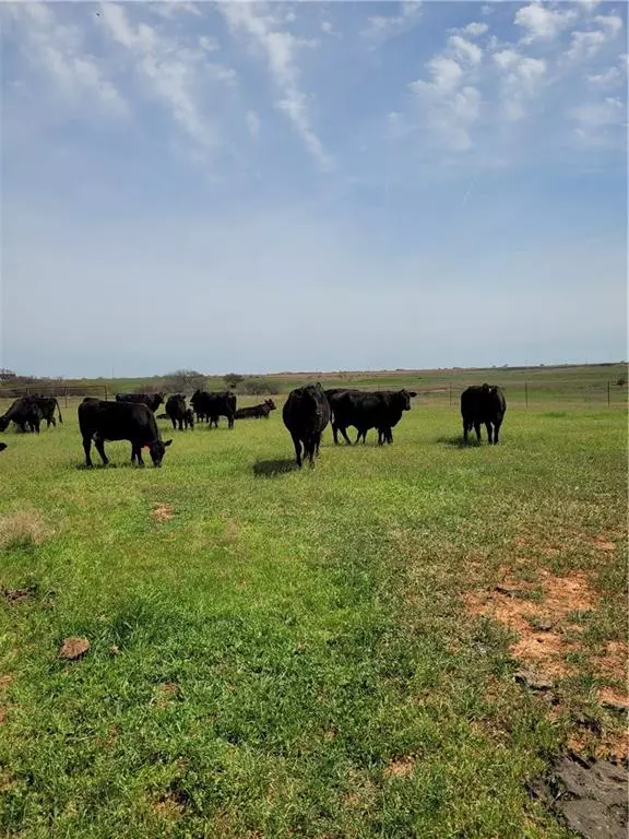 Grandfield, OK 73546,Address not disclosed