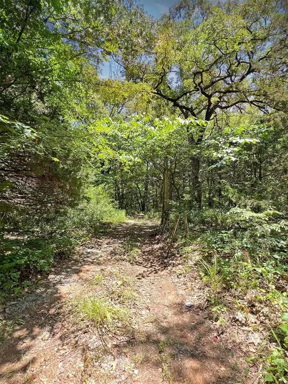 Colbert, OK 74733,767 River RD