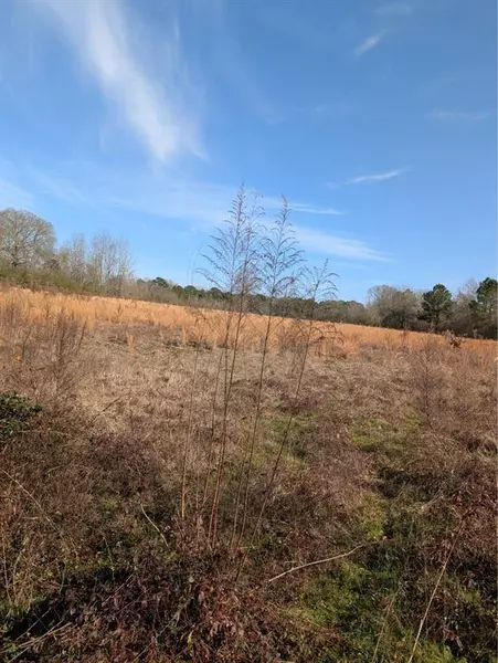 000 Mudline CT, Eagletown, OK 74734