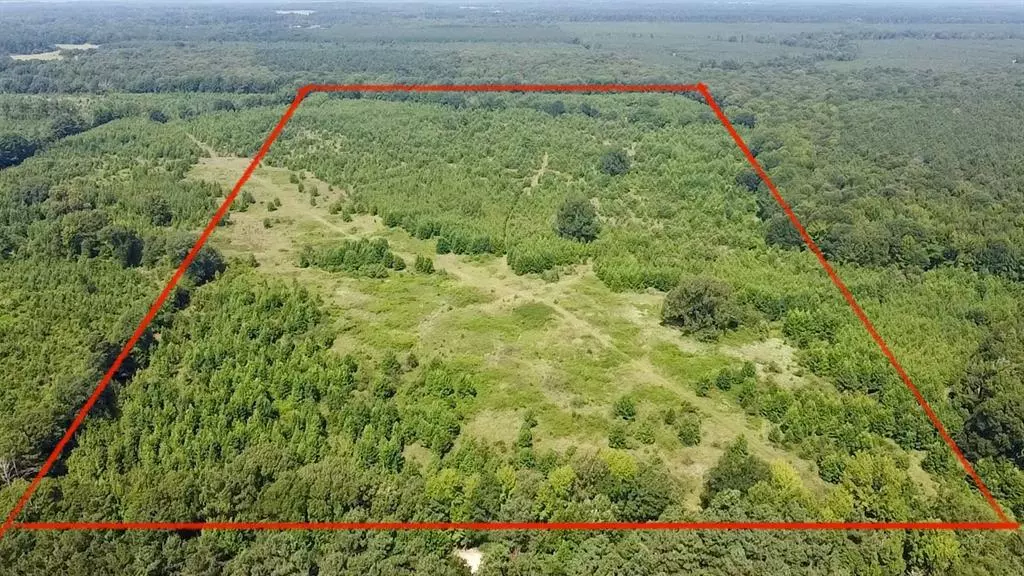 80 Sand RD, Haworth, OK 74740