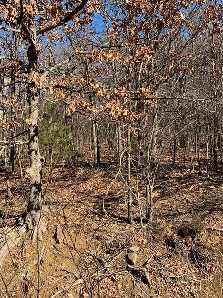 Savage RD, Clayton, OK n/a