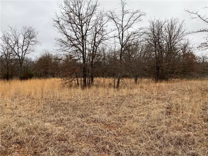 Bethel Curve - Tract 4, Tecumseh, OK 74873