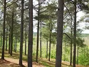 21 Southern Hills CIR, Broken Bow, OK 74728