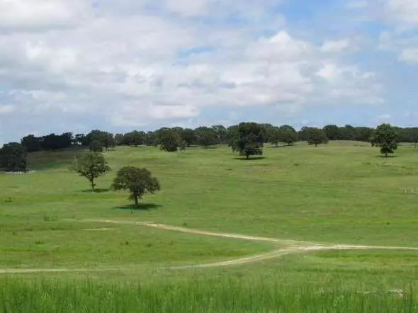 180 Acres, Macomb, OK 74852