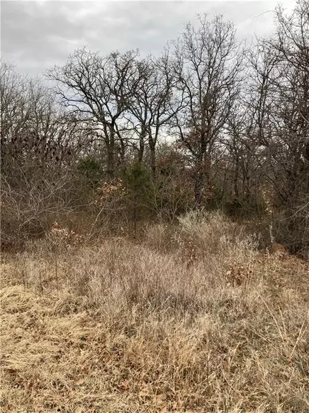 24 Shadow RDG, Luther, OK 73054