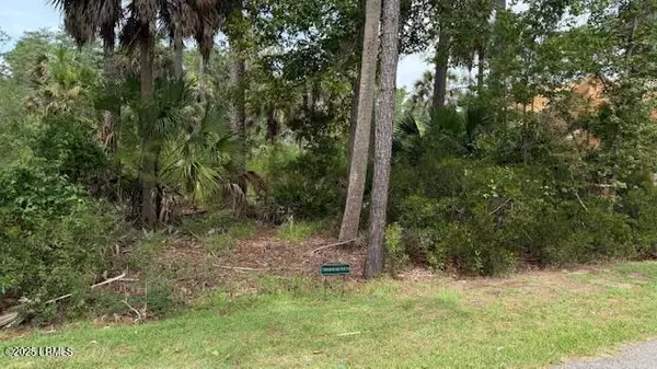 Okatie, SC 29909,5 Woodstork Watch