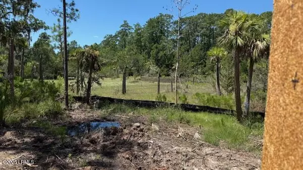 Okatie, SC 29909,5 Woodstork Watch