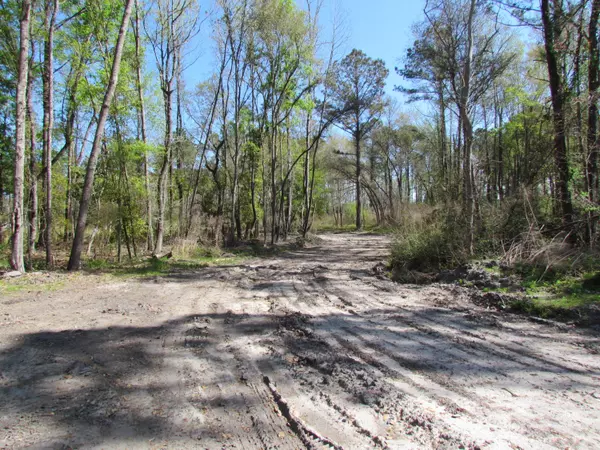 Ridgeland, SC 29936,Par A Tillman RD Road