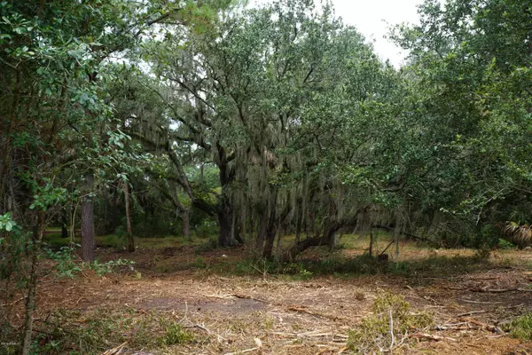 Dataw Island, SC 29920,1465 Gleasons Landing DR Drive