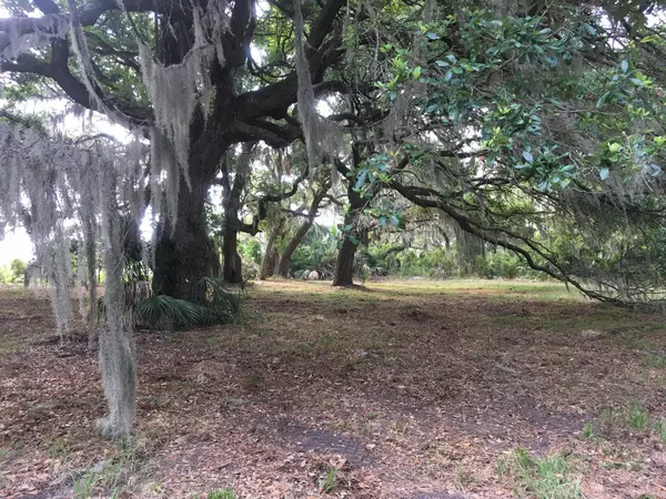 St. Helena Island, SC 29920,Tbd Off Mattis DR Drive