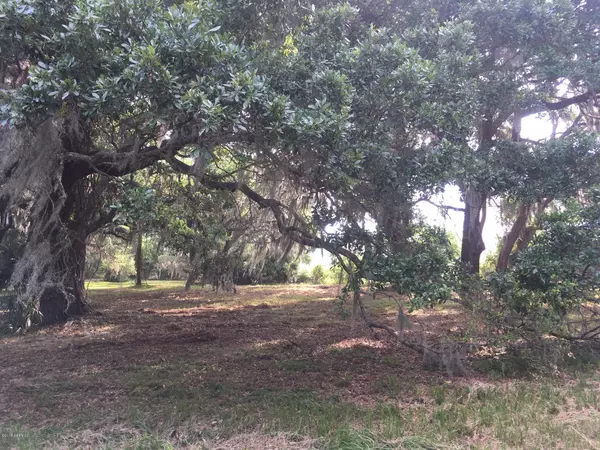 St. Helena Island, SC 29920,Tbd Off Mattis DR Drive