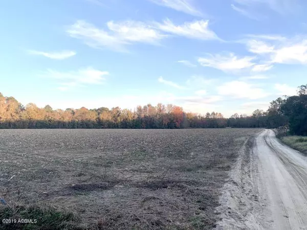 Cope, SC 29038,1 Miles RD Road