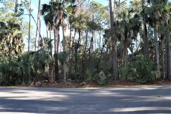 Fripp Island, SC 29920,29 Fiddlers Trace RD Road