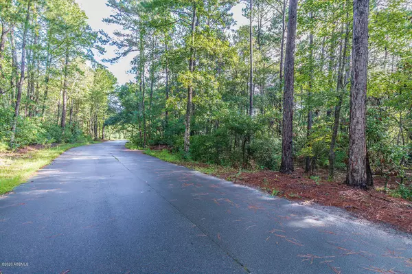 Beaufort, SC 29907,16 Gator LN Lane