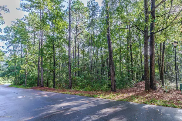 Beaufort, SC 29907,16 Gator LN Lane