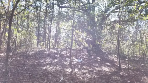 Burton, SC 29906,Tbd Pine Grove RD Road