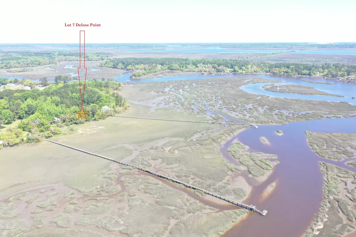 Ridgeland, SC 29936,1801 Deloss Point RD Road