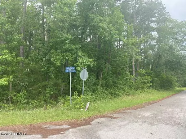 Estill, SC 29918,000 Appleby AVE Avenue