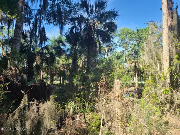 Okatie, SC 29909,12 Heron PT Point