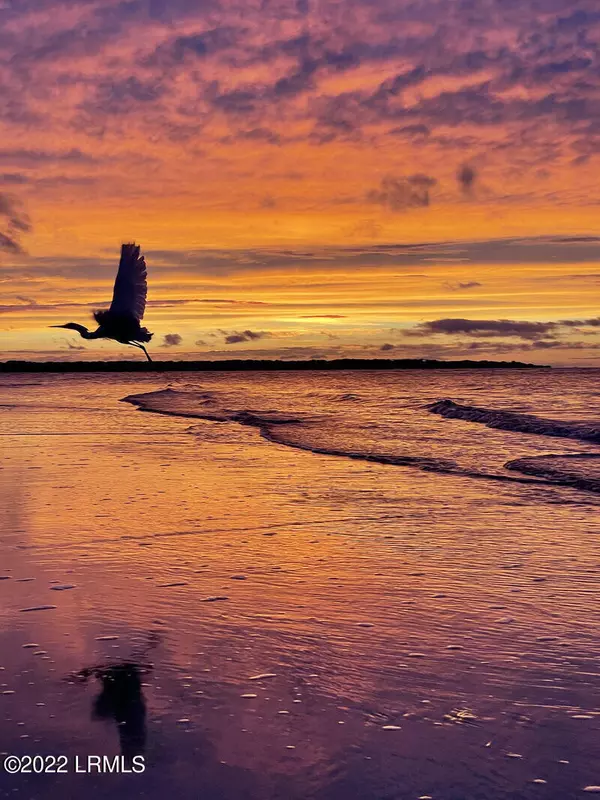 Harbor Island, SC 29920,11 Tradewind LN Lane