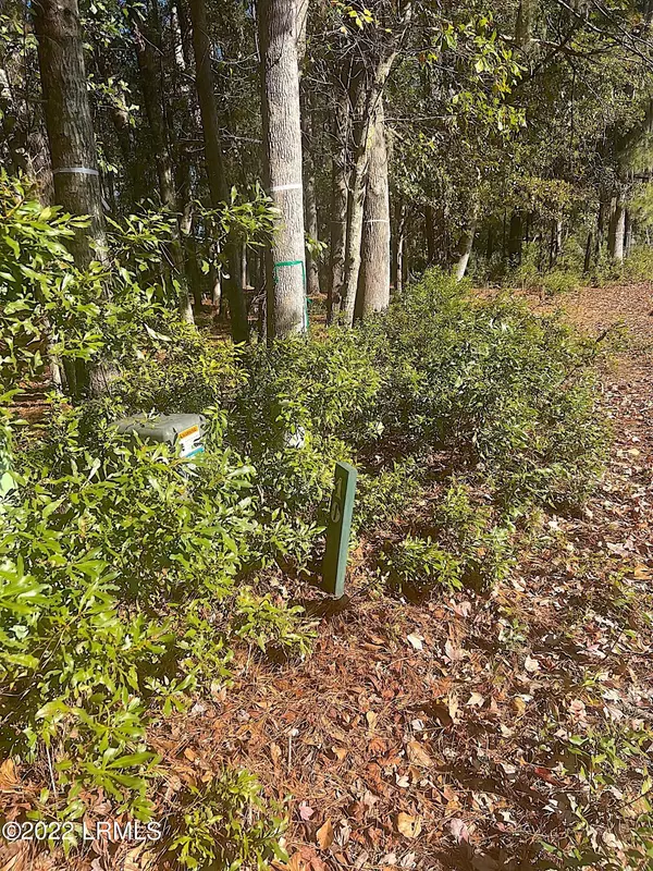 Hilton Head Island, SC 29926,12 Drummond LN Lane