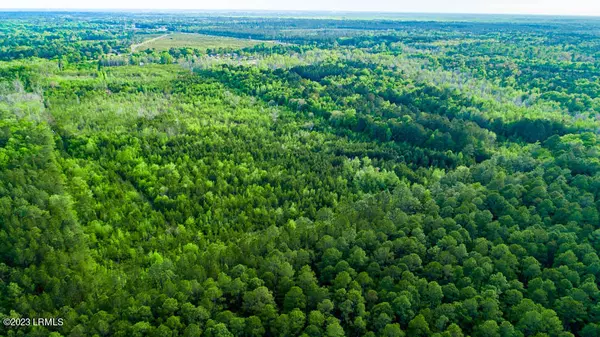 Hardeeville, SC 29927,Tbd Dunham Williams RD Road