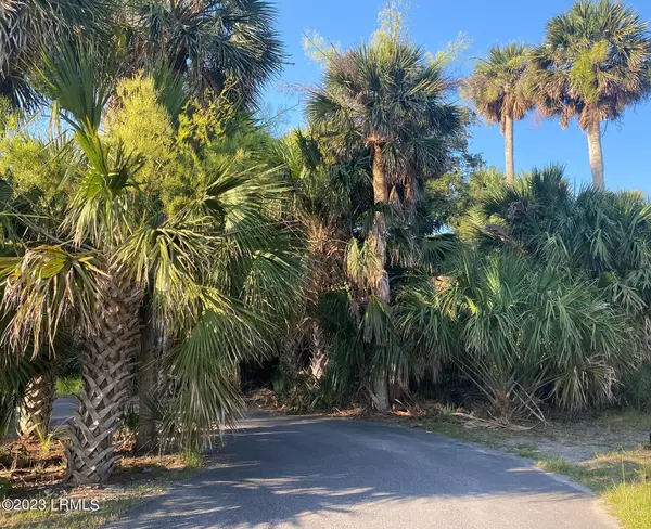 Fripp Island, SC 29920,11 High Dunes