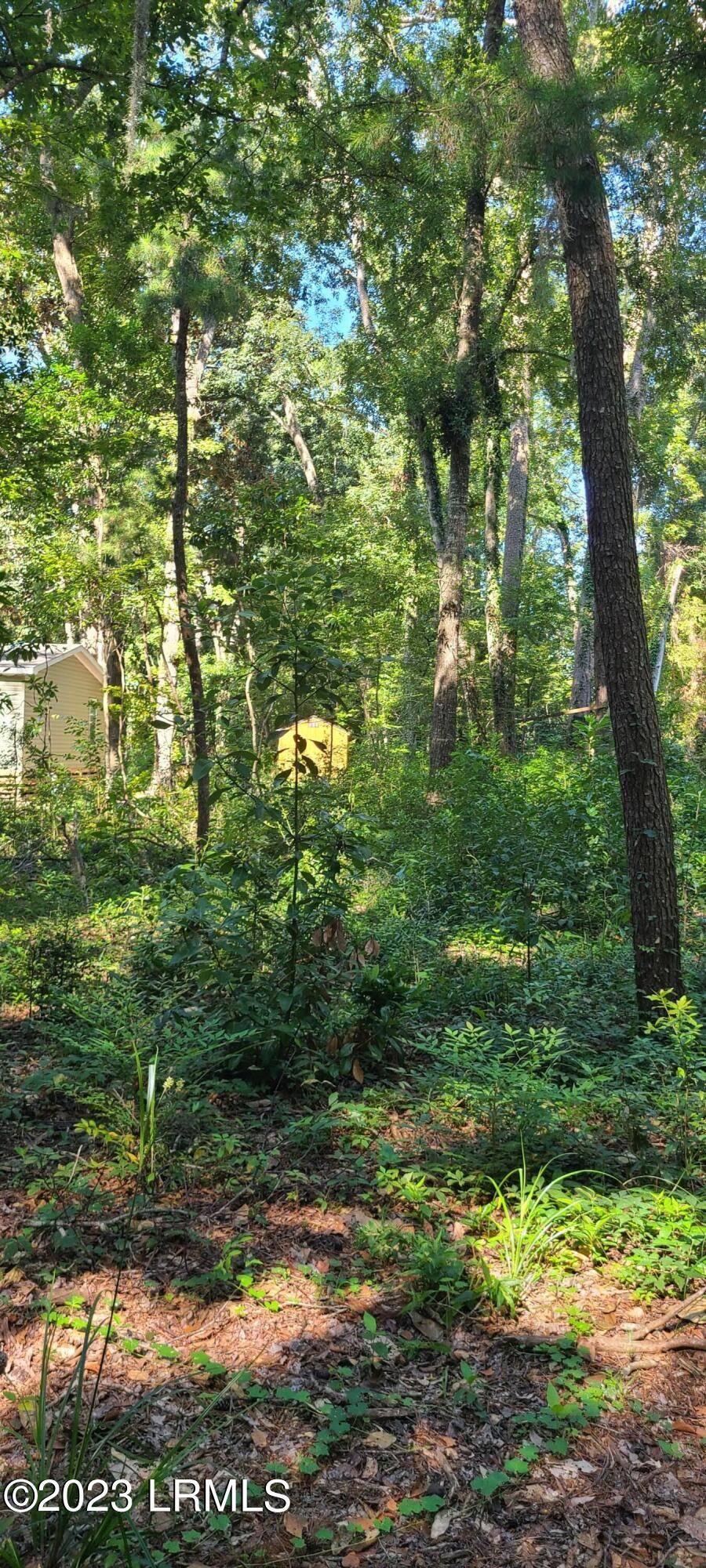 32 Presnell CIR Circle, Beaufort, SC 29902