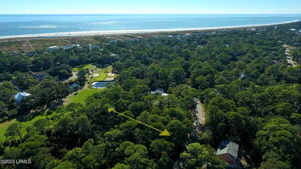 Fripp Island, SC 29920,716 Marlin DR Drive