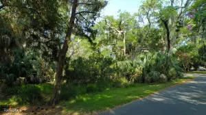 Fripp Island, SC 29920,4 Fiddlers Cove DR Drive