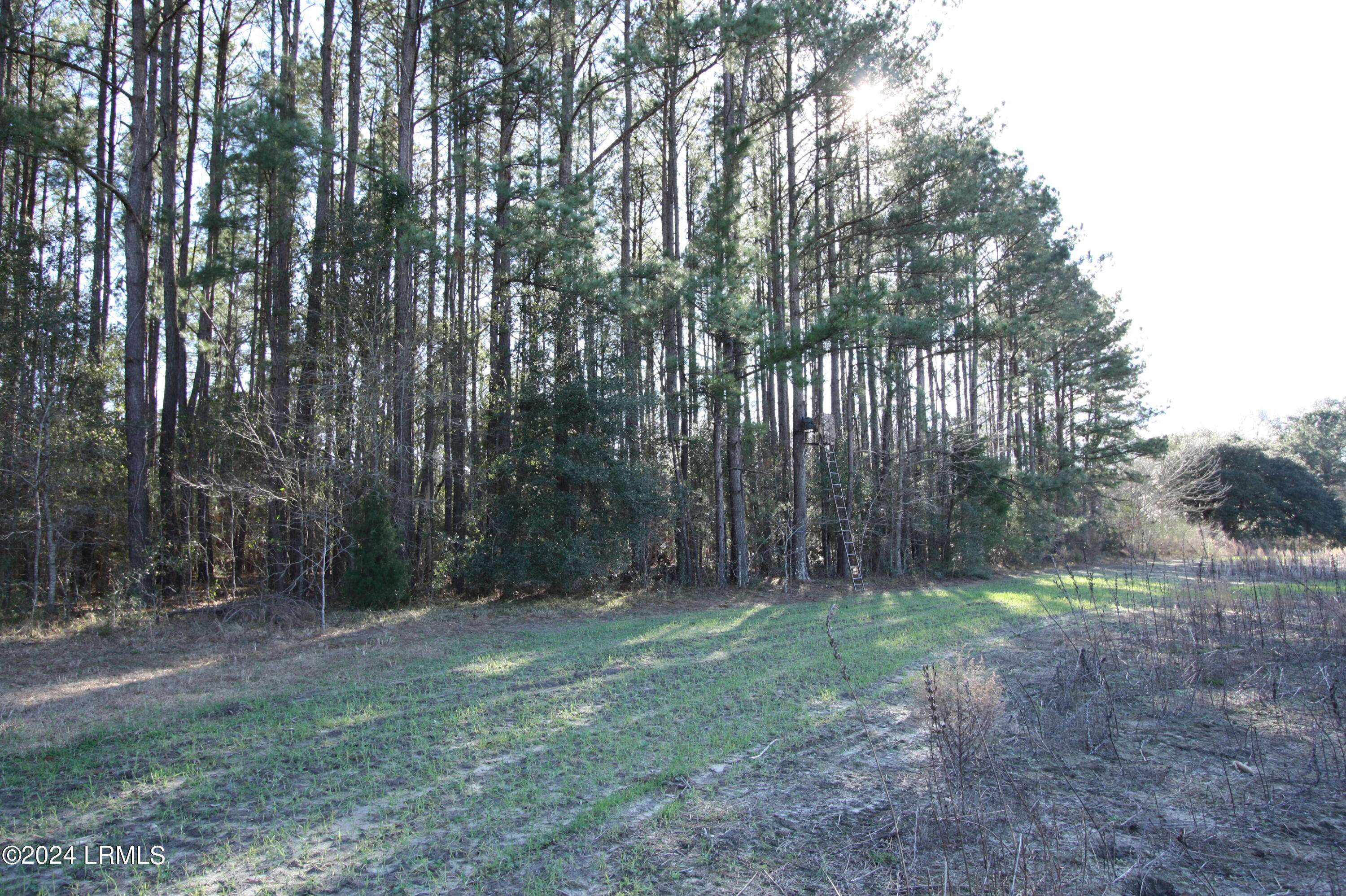 Ridgeland, SC 29936,Tbd W Morgandollar RD Road