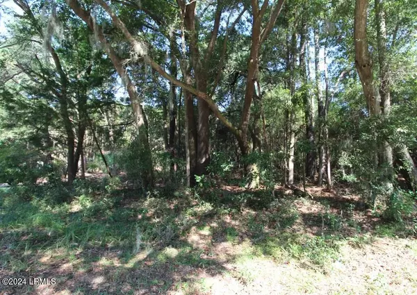 St. Helena Island, SC 29920,234 Sam Doyle DR Drive